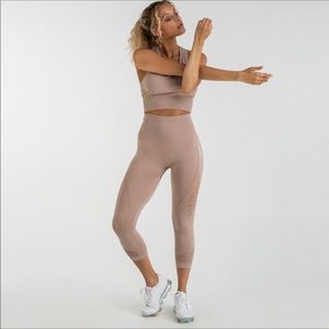 Gym shark Capri seemless